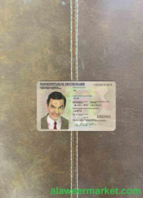 Germany ID photolook FRONT